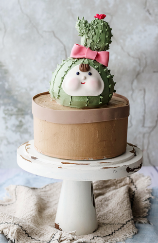 Hands-on Two-Tiered Blood Orange Cactus Cream Cake Workshop