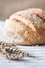 Load image into Gallery viewer, Hands-on Artisan Bread Workshop 2 (Pâte Fermentée)