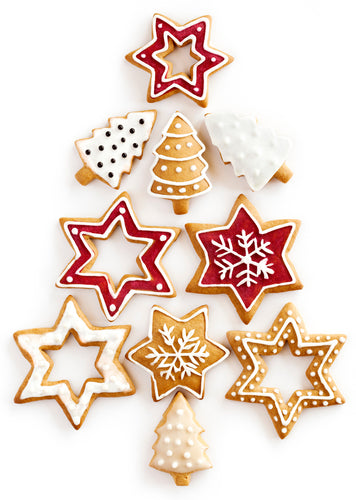 Hands-on Christmas Cookies Workshop 7