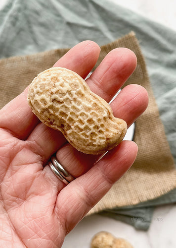 Hands-on CNY Peanut Cookies and Green Pea Abacus Cookies Workshop